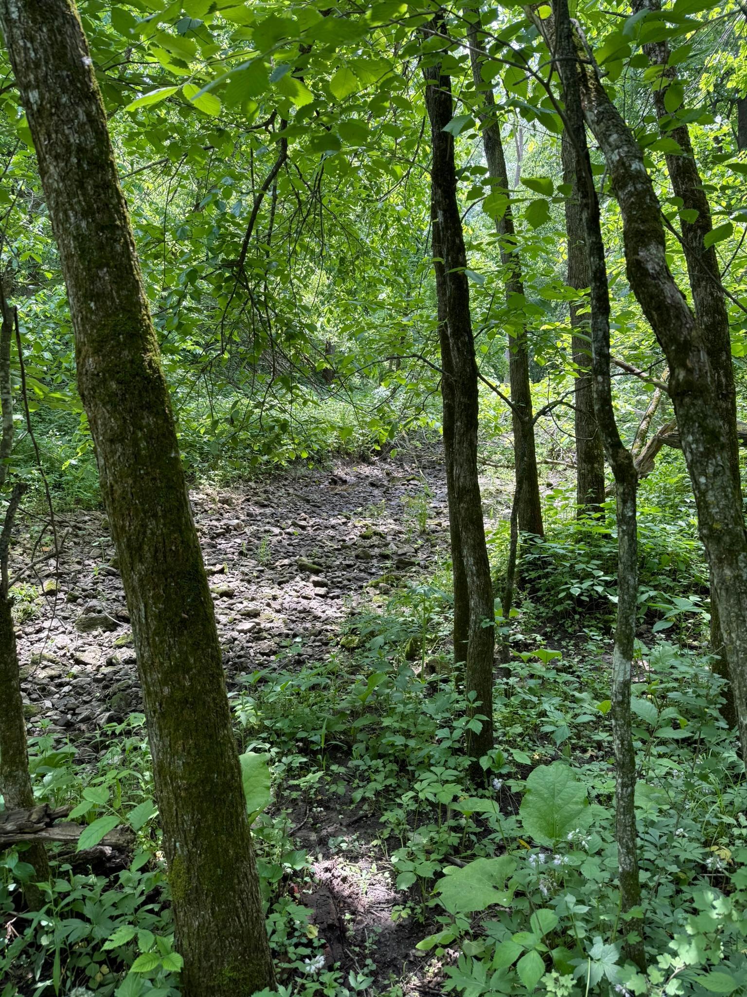 TBD Quiet Way, Welch, Minnesota image 4