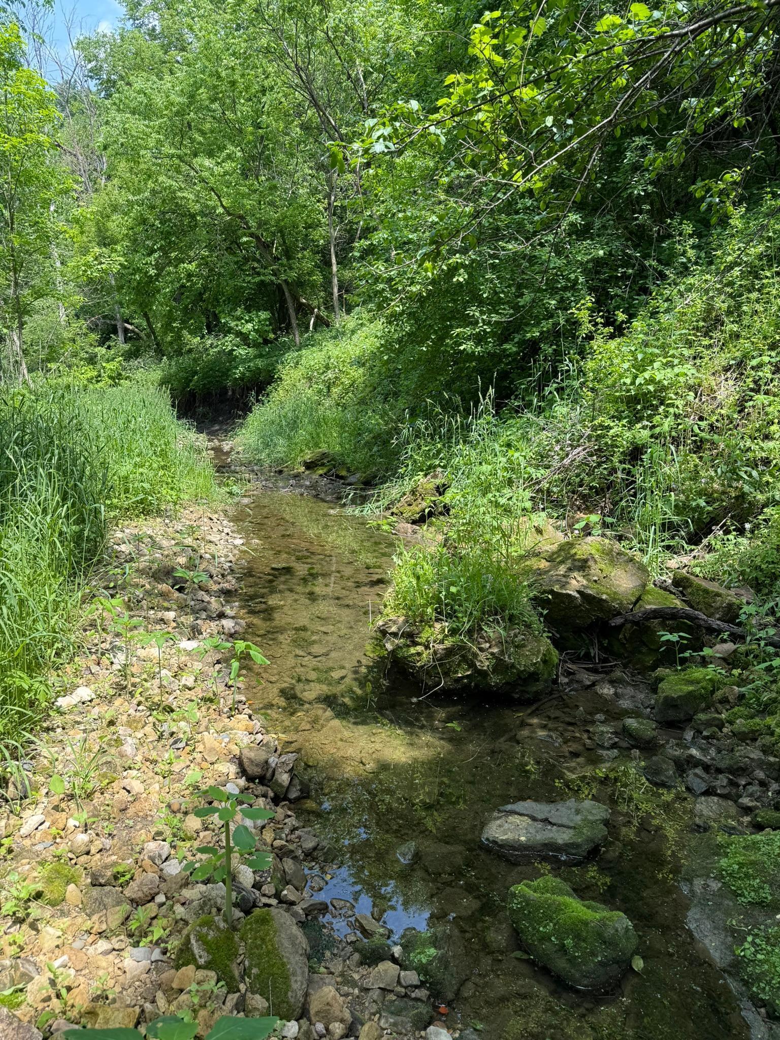 TBD Quiet Way, Welch, Minnesota image 5