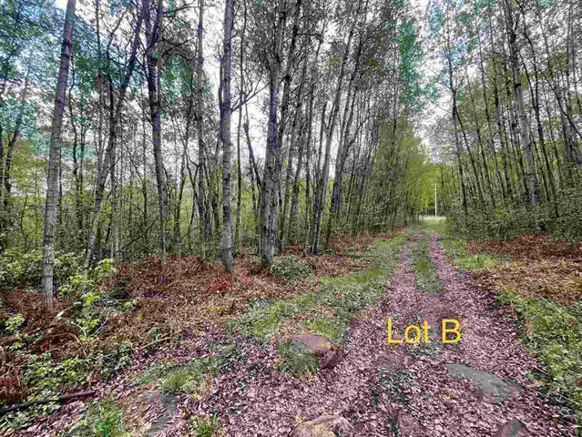 TBD 1st St Leetonia, Hibbing, Minnesota image 3
