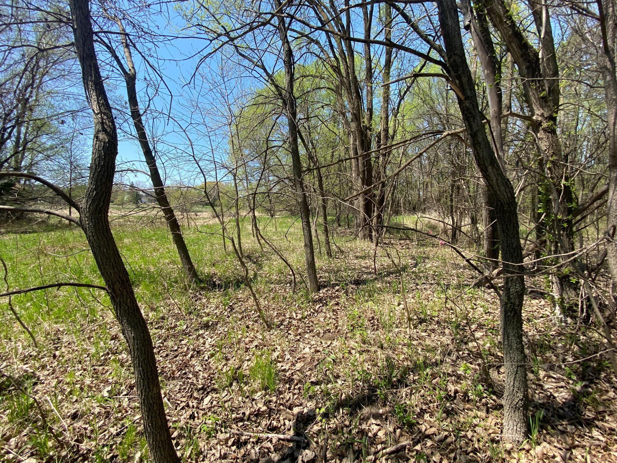 20072 Lander Street, Elk River, Minnesota image 12