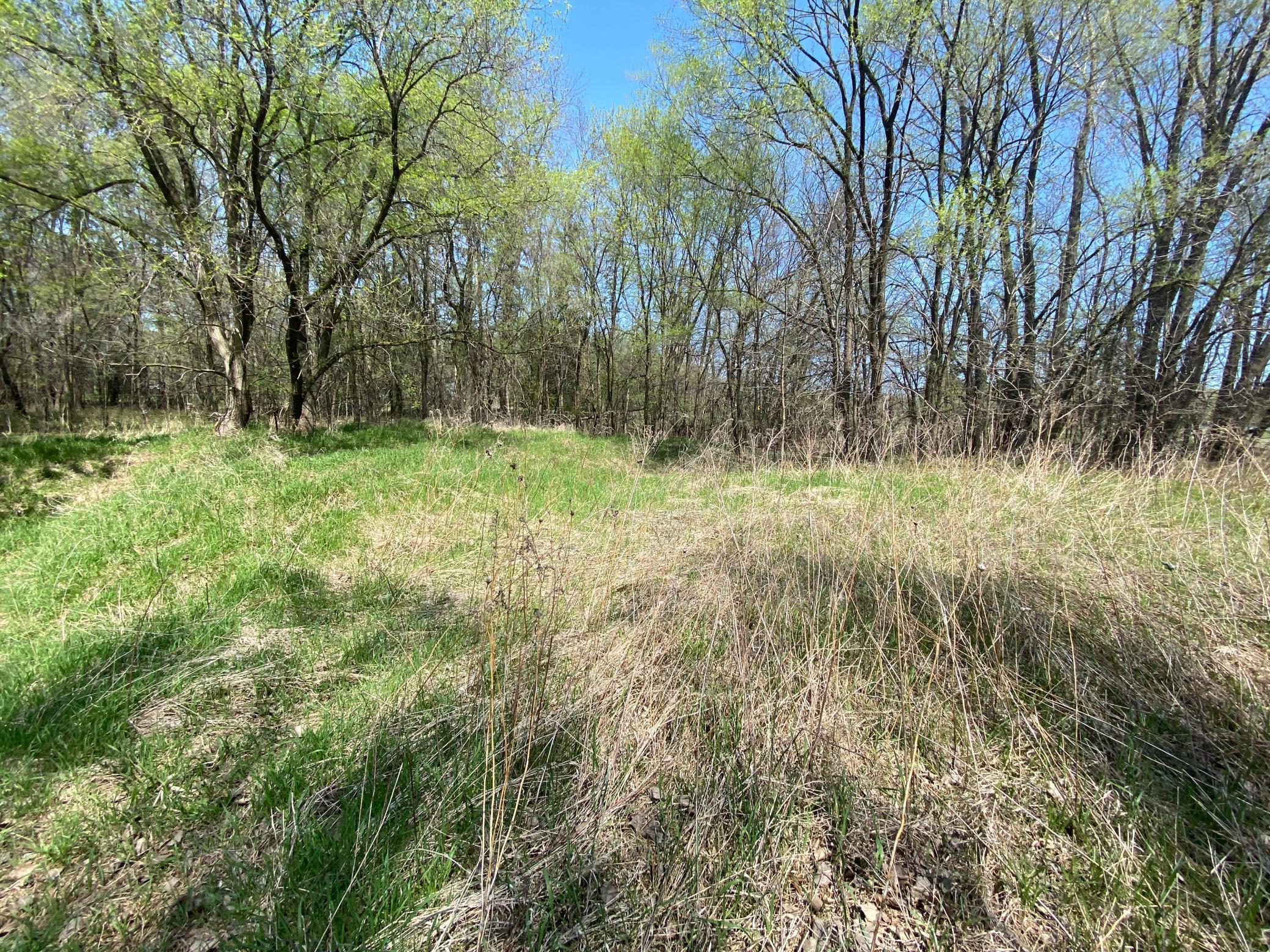20072 Lander Street, Elk River, Minnesota image 7
