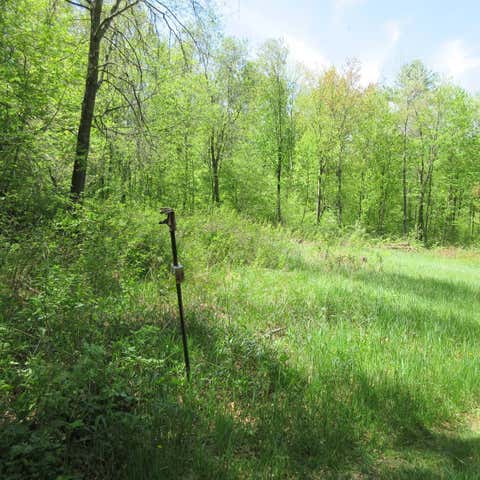 Vacant Land For Sale - XXX 810th Avenue<br/> Boyceville, WI 54751