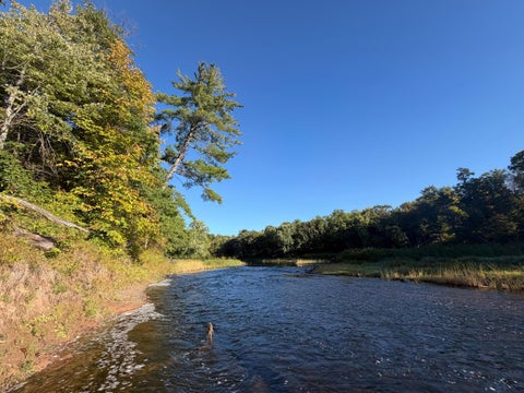 Vacant Land For Sale - TBD Riverview Place<br/> Merrifield, MN 56465