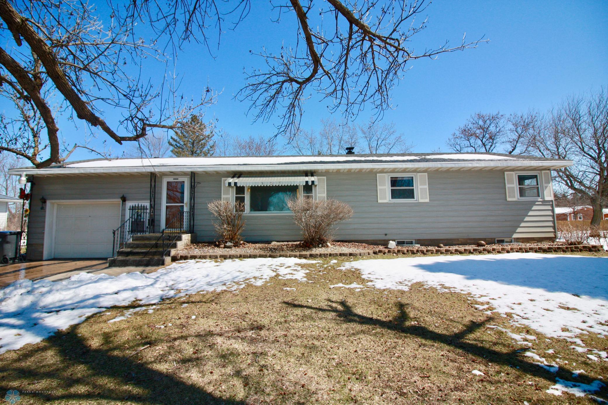 307 4th Avenue, Hankinson, North Dakota image 1