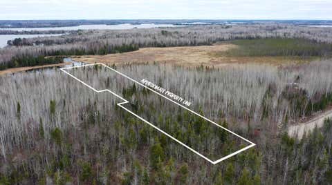 Vacant Land For Sale - TBD PARCEL 15 Hwy 115<br/> Tower, MN 55790