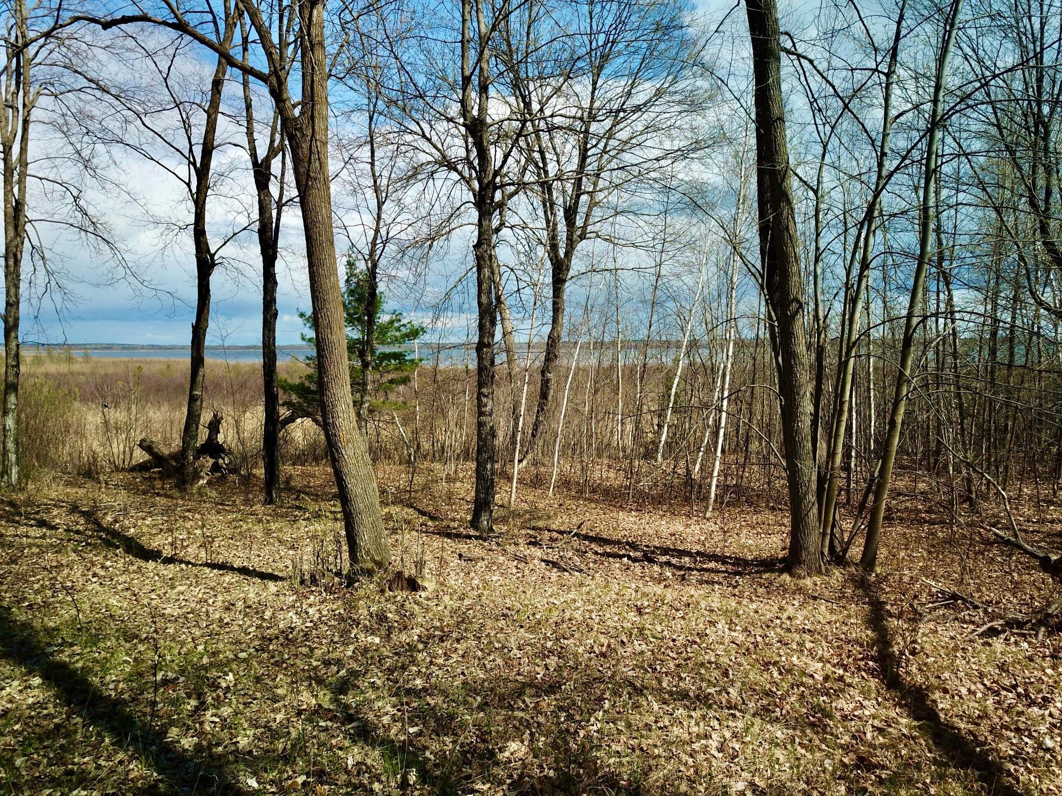 Lot 6 Blk 1 Cove View, Walker, Minnesota image 7