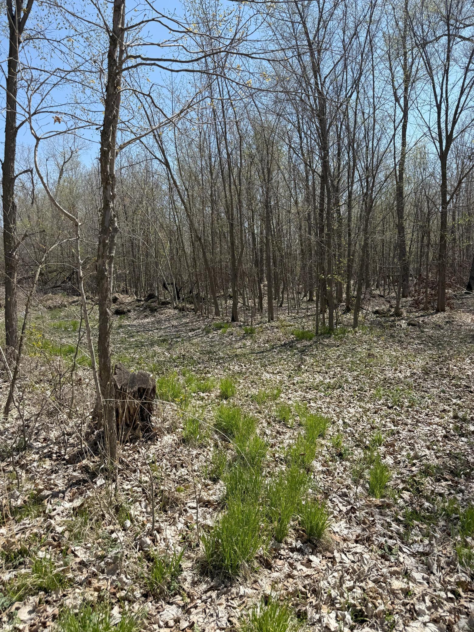 TBD Tbd, Ottertail, Minnesota image 9