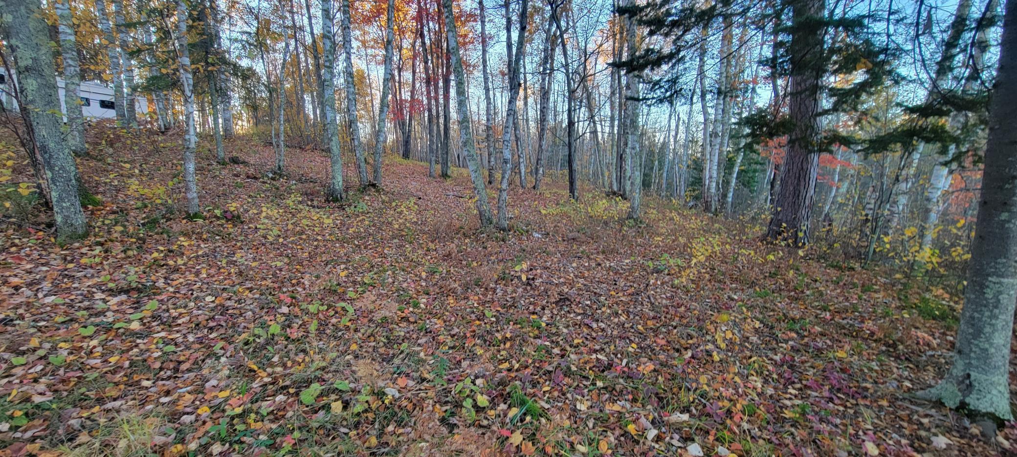 TBD Loon Call Lane, Bigfork, Minnesota image 18