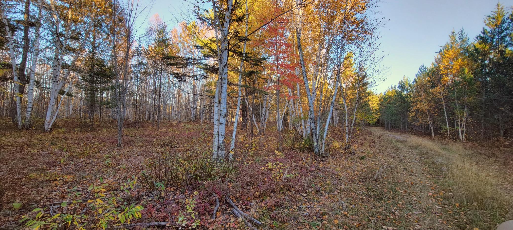 TBD Loon Call Lane, Bigfork, Minnesota image 12