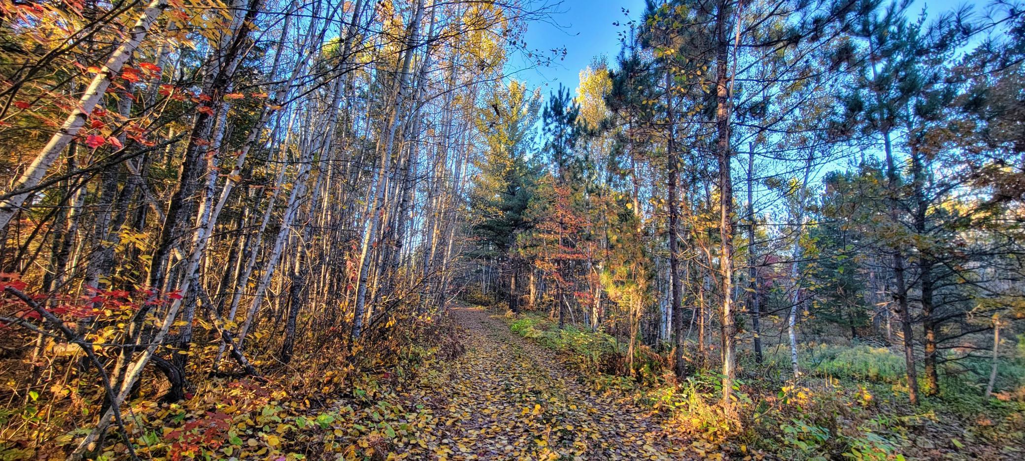 TBD Loon Call Lane, Bigfork, Minnesota image 24