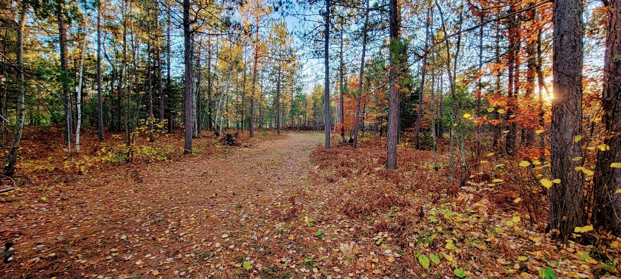 TBD Loon Call Lane, Bigfork, Minnesota image 14