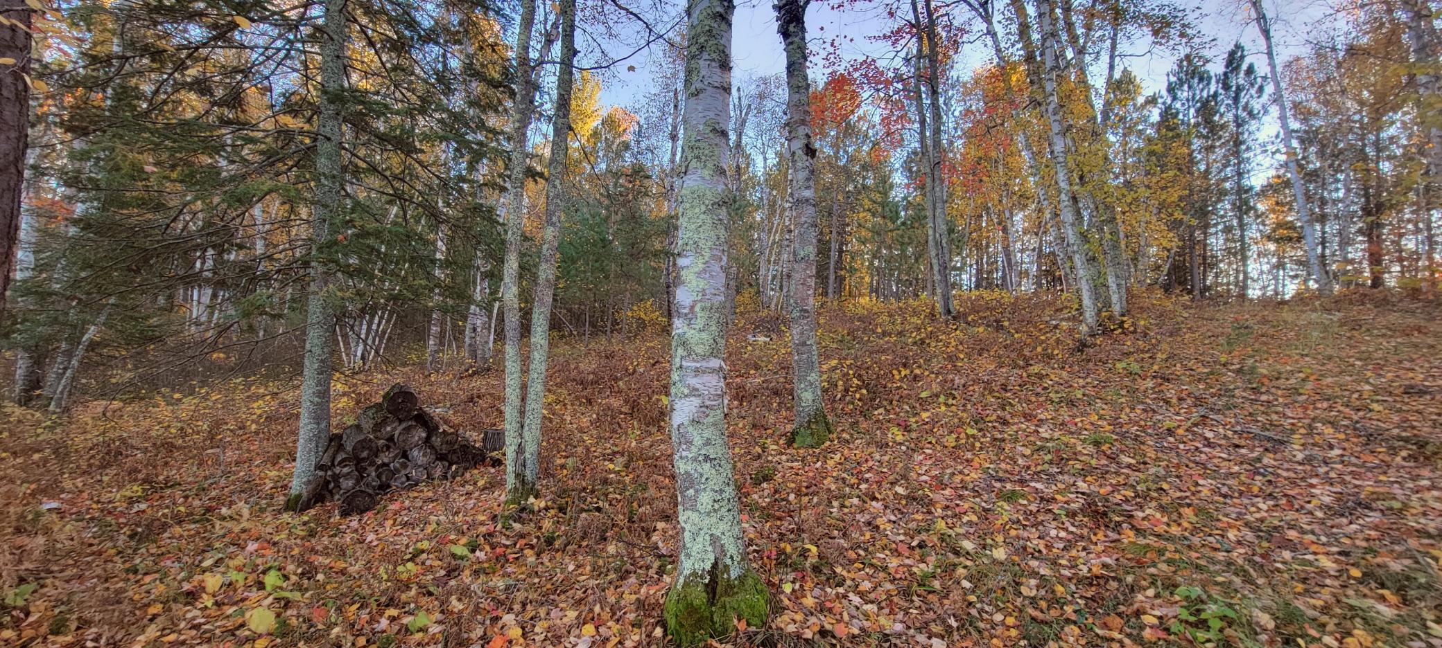 TBD Loon Call Lane, Bigfork, Minnesota image 20