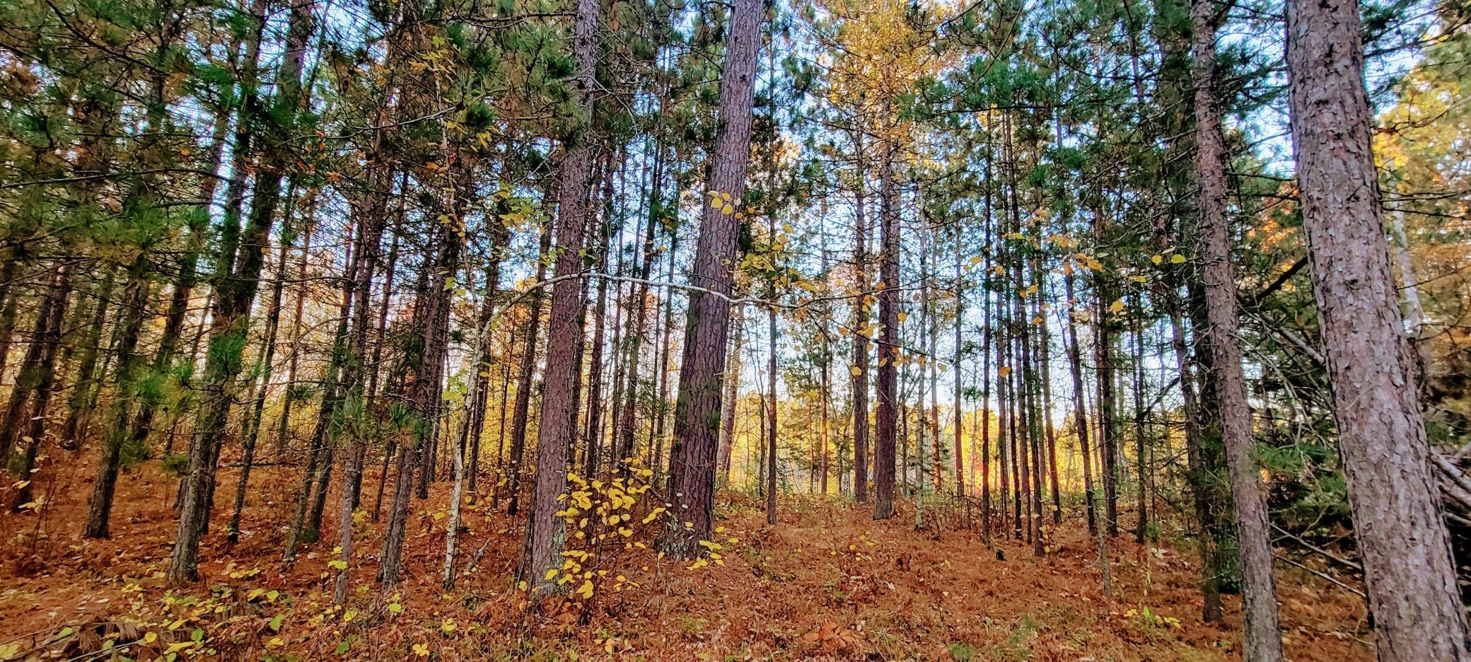 TBD Loon Call Lane, Bigfork, Minnesota image 13