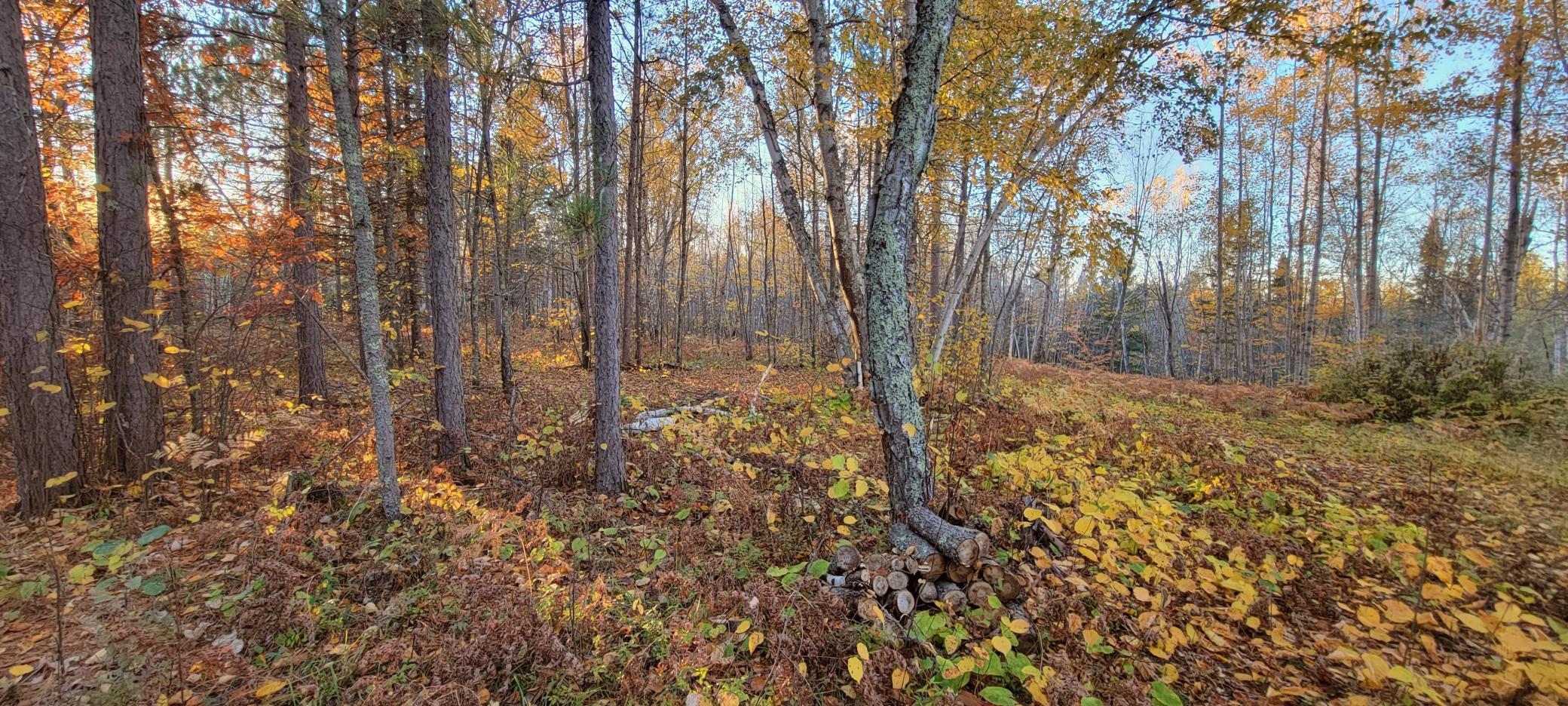 TBD Loon Call Lane, Bigfork, Minnesota image 17