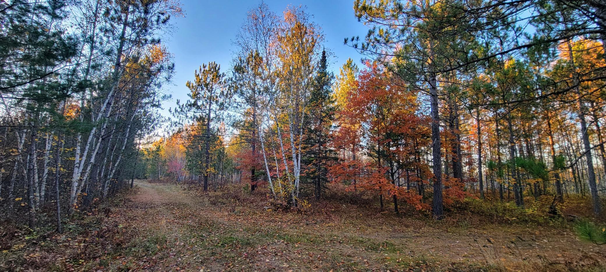 TBD Loon Call Lane, Bigfork, Minnesota image 11