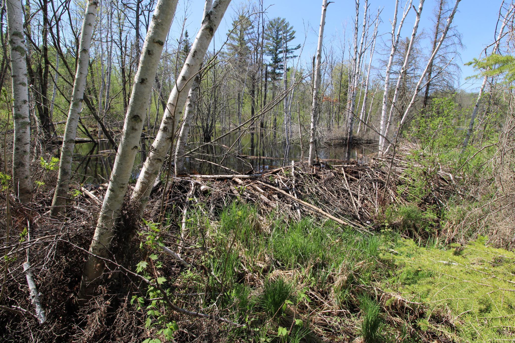 25343 Lens Road, Emily, Minnesota image 18