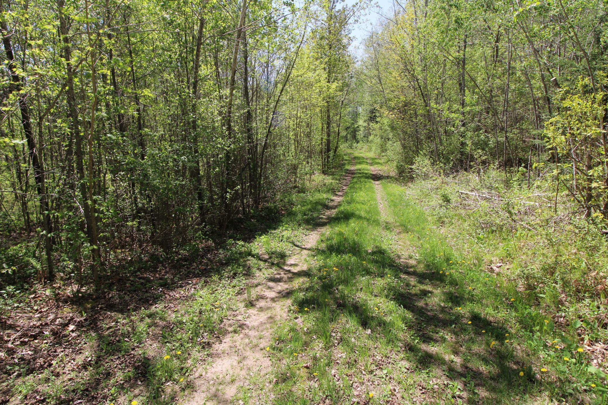25343 Lens Road, Emily, Minnesota image 7
