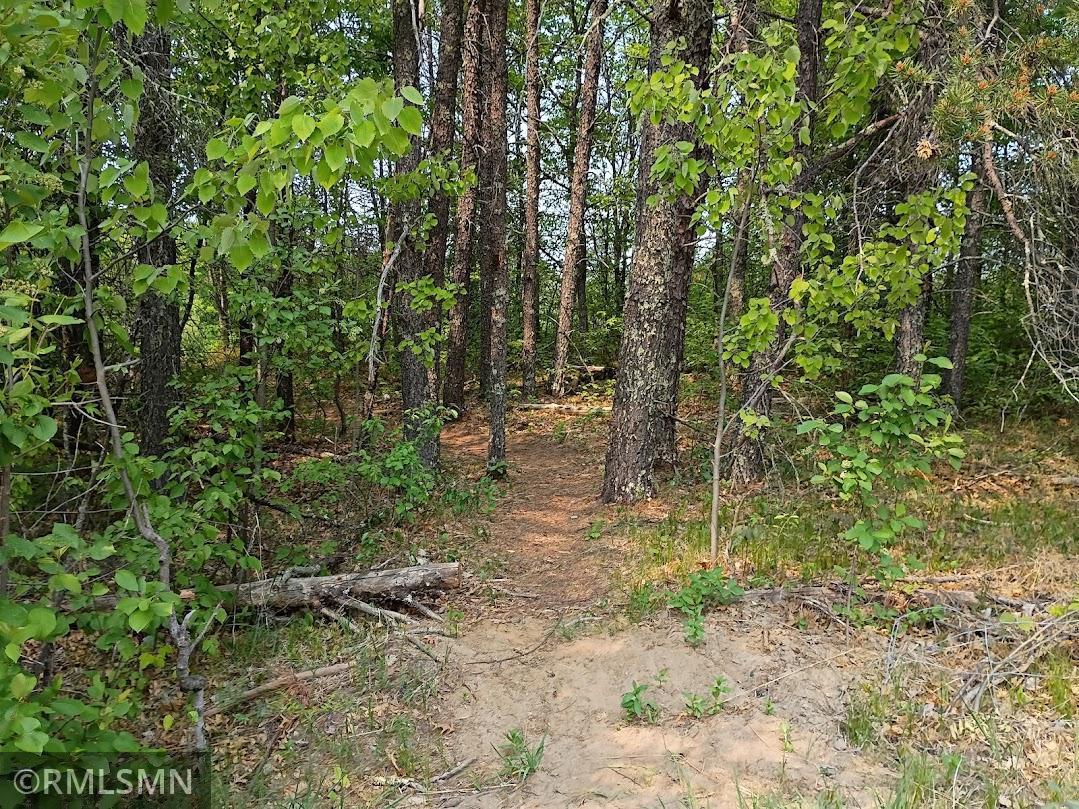 TBD 63rd Avenue, Cass Lake, Minnesota image 5