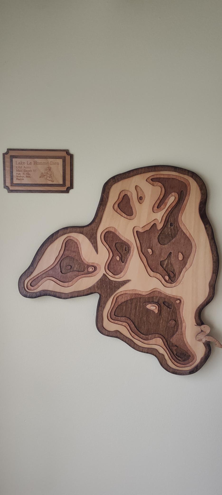 2520 Le Homme Dieu Heights #3, Alexandria, Minnesota image 32