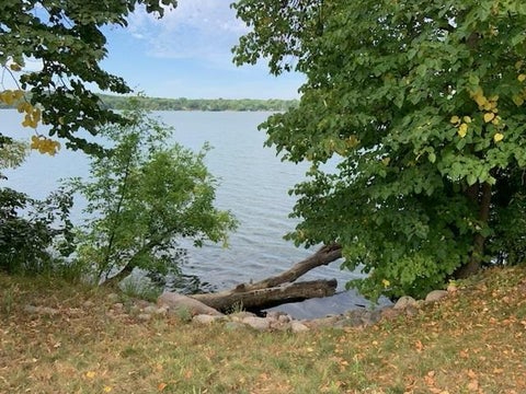 Homes For Sale - 18305 Browns Lake Road<br/> Stearns County, Richmond, MN 56368