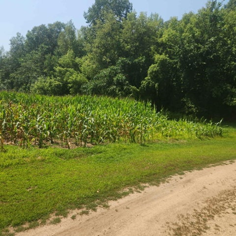 Vacant Land For Sale - XXX 220th Ave Lot 3<br/> Saint Croix County, New Richmond, WI 54017