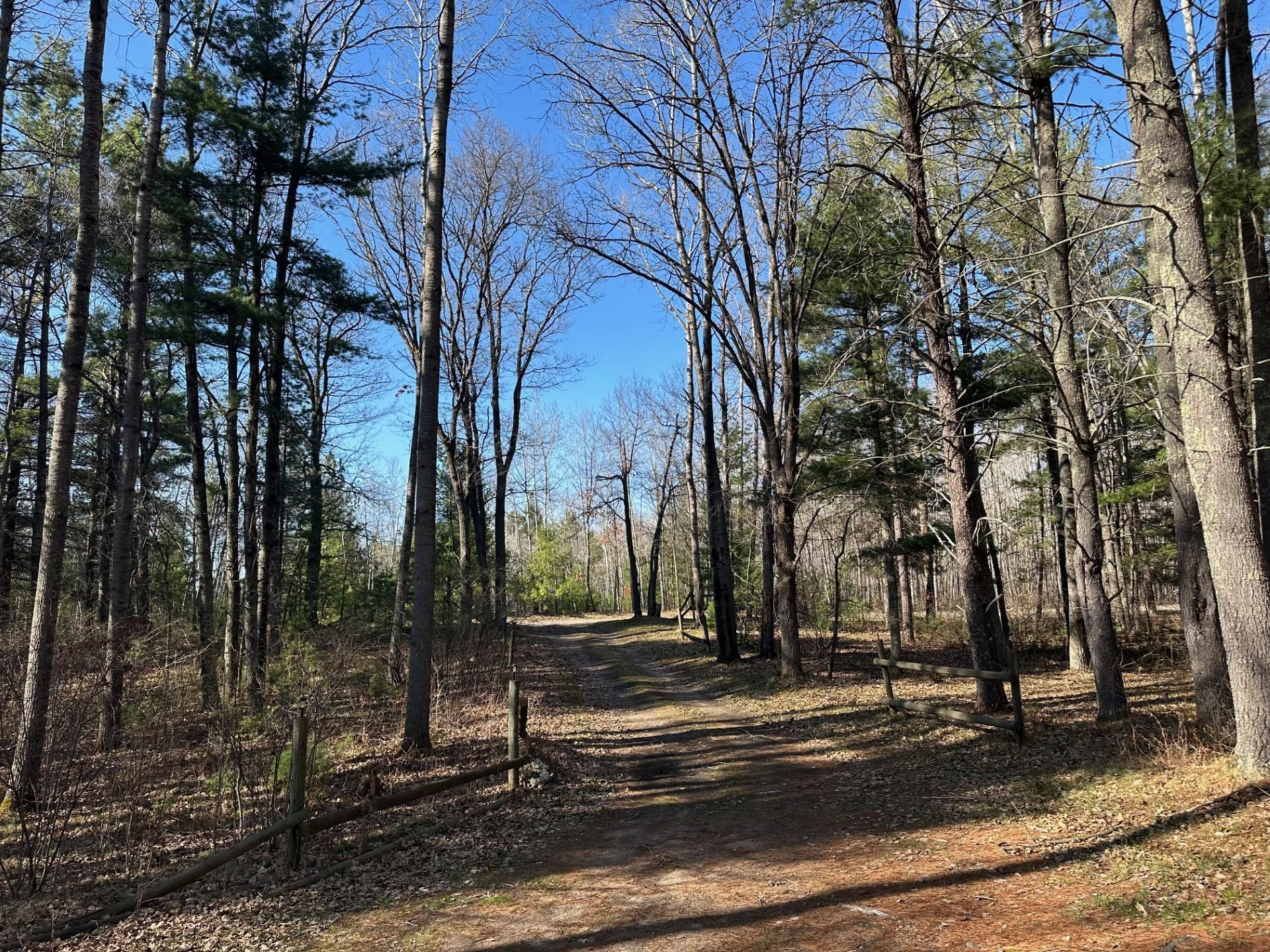 21843 Whitetail Drive, Emily, Minnesota image 10