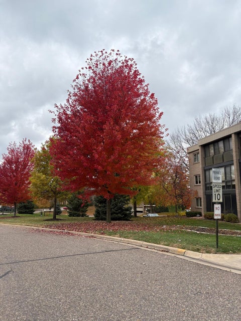 Condo For Sale - 4350 Brookside Court<br/> Edina, MN 55436