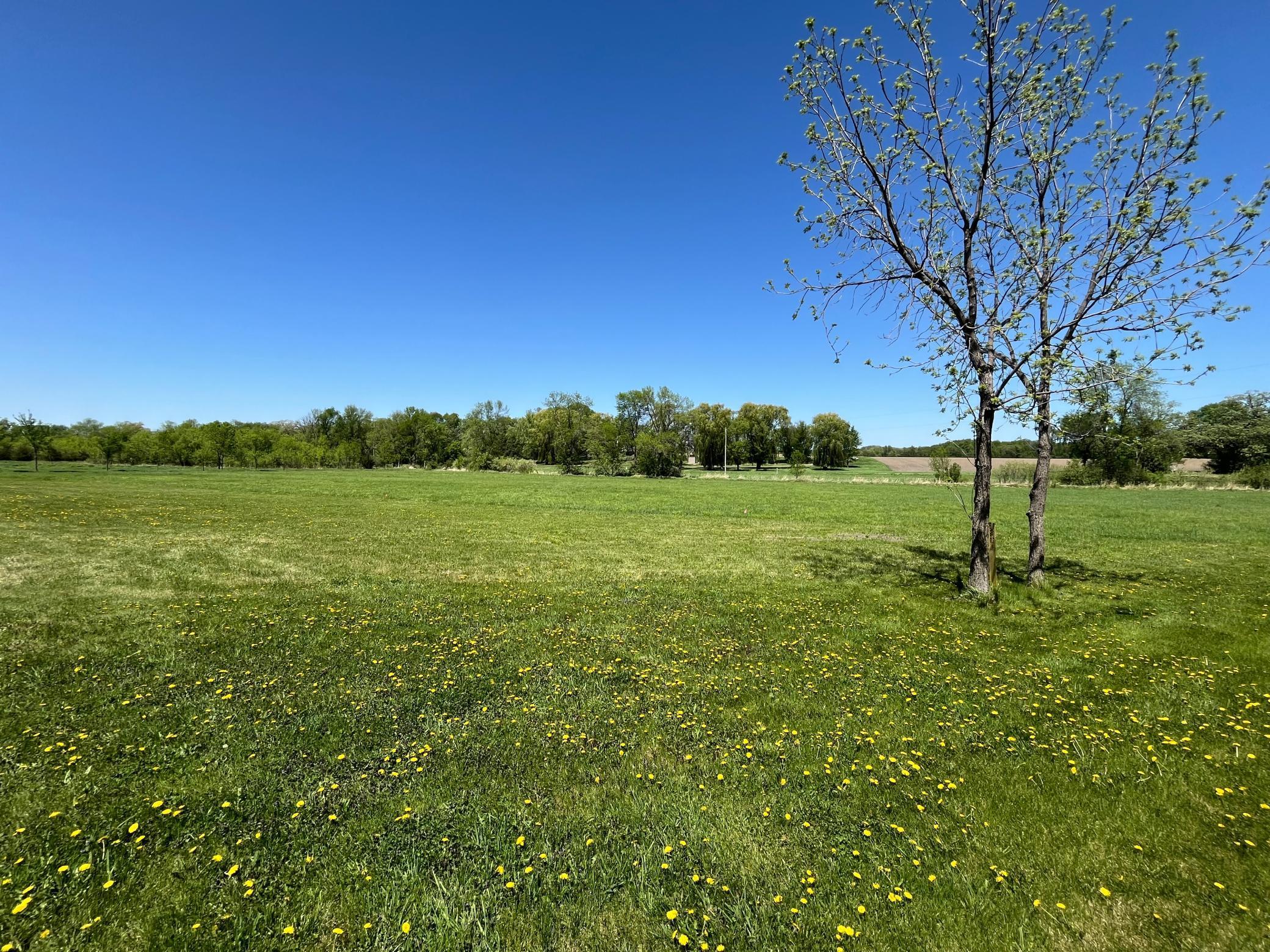 XXXX Cameron Ave Se, Buffalo, Minnesota image 16
