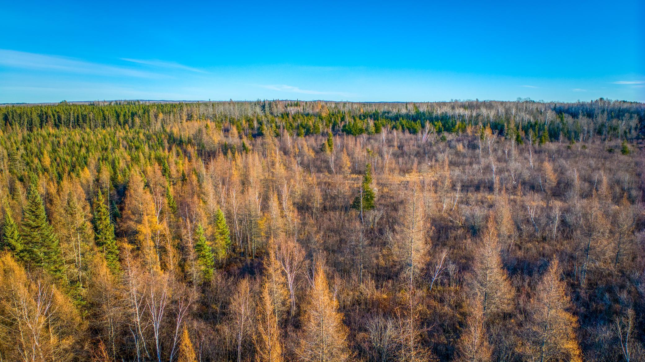 XXXX Dora Lake Rd, Northome, Minnesota image 33