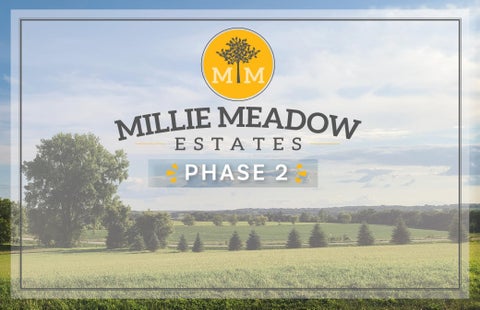 Vacant Land For Sale - 4676 Millie Meadow Drive<br/> Olmsted County, Rochester, MN 55902