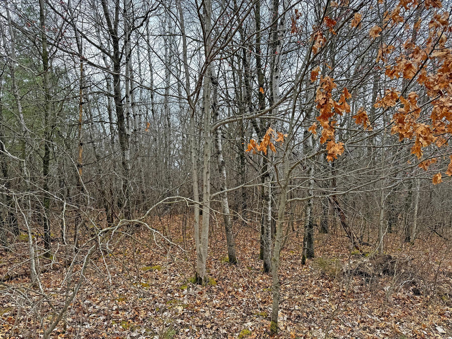 XXX 220th Avenue, Somerset, Wisconsin image 6