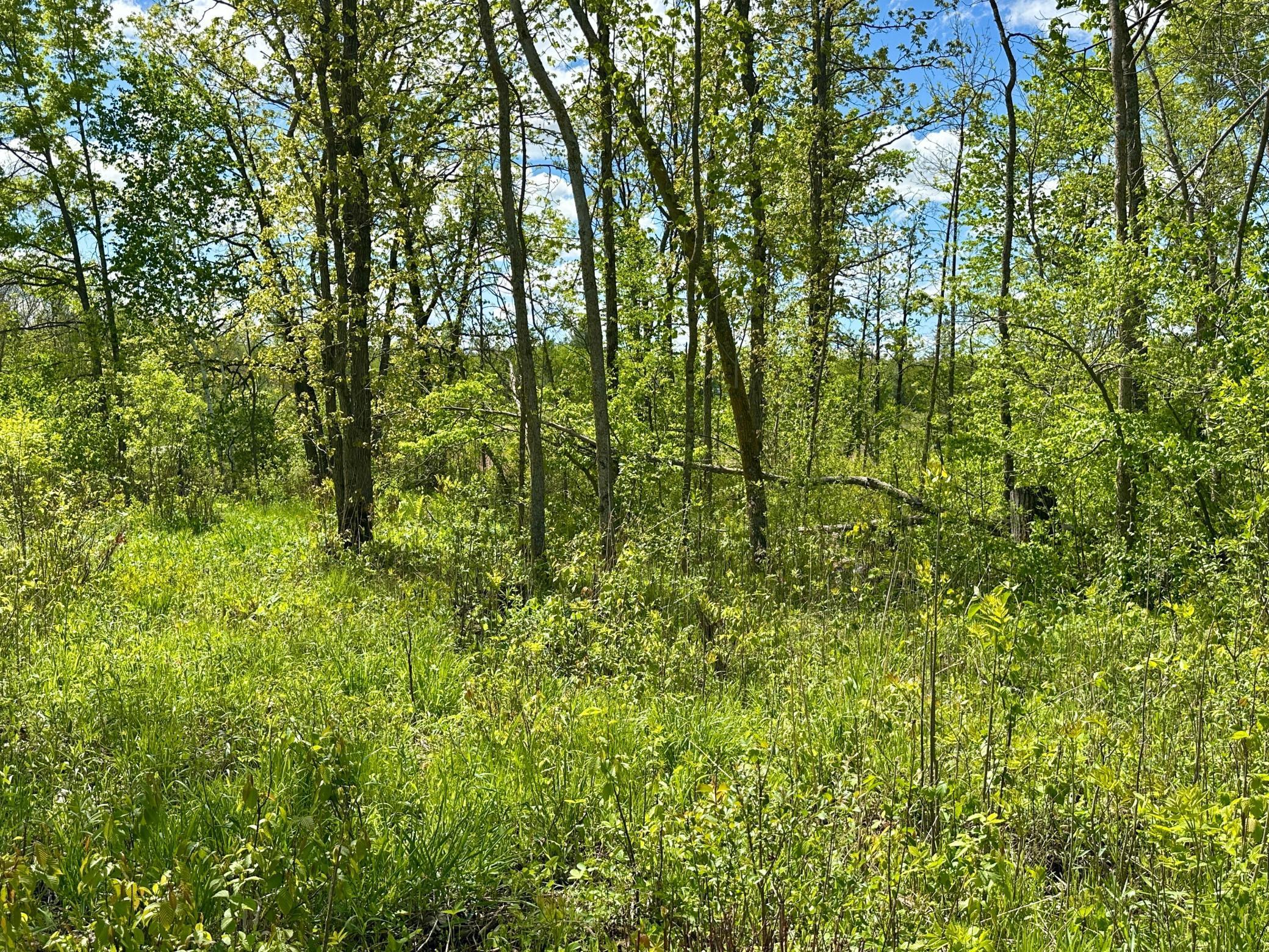 Xxx 160th Avenue, Turtle Lake, Wisconsin image 15