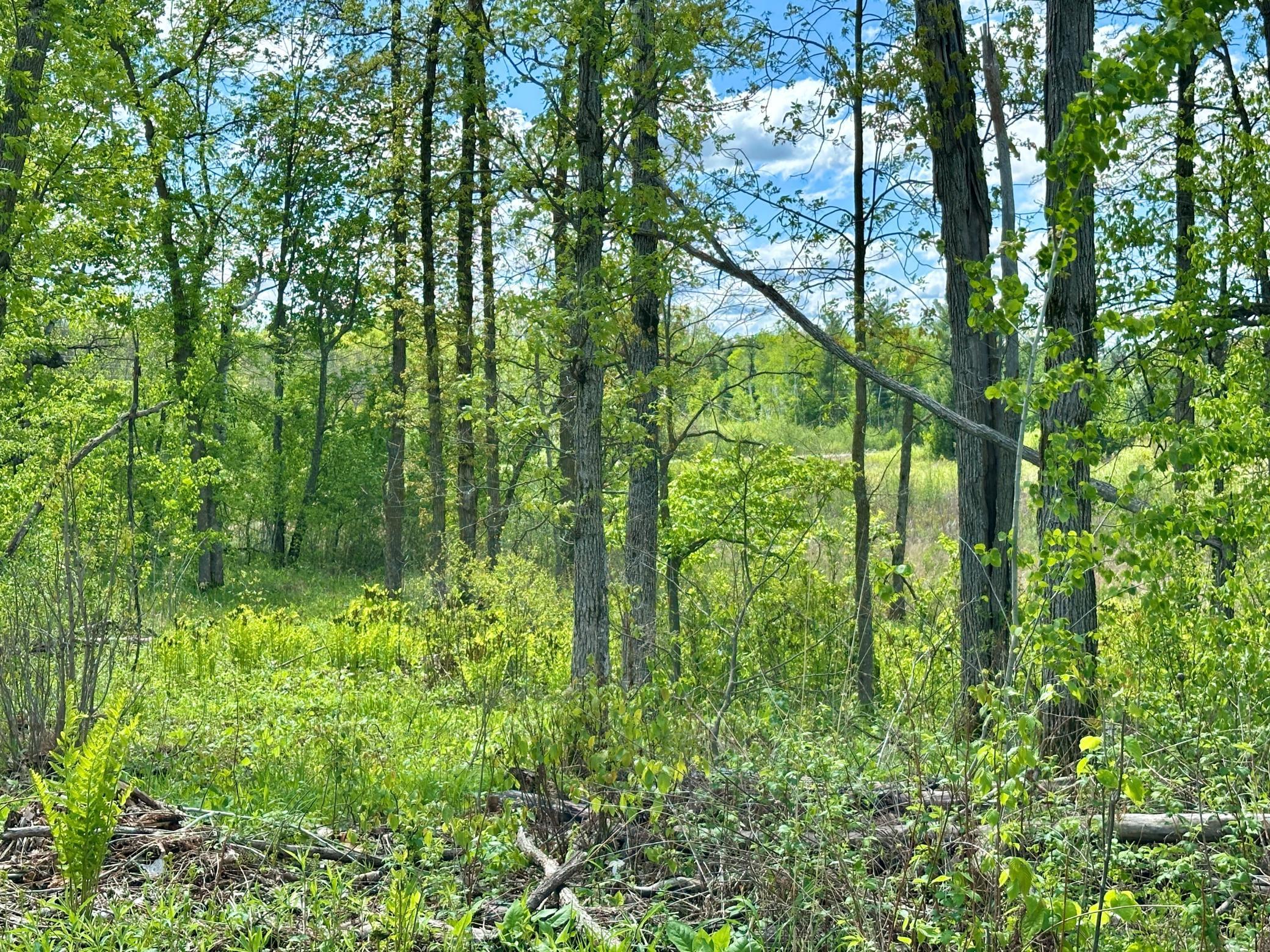 Xxx 160th Avenue, Turtle Lake, Wisconsin image 10