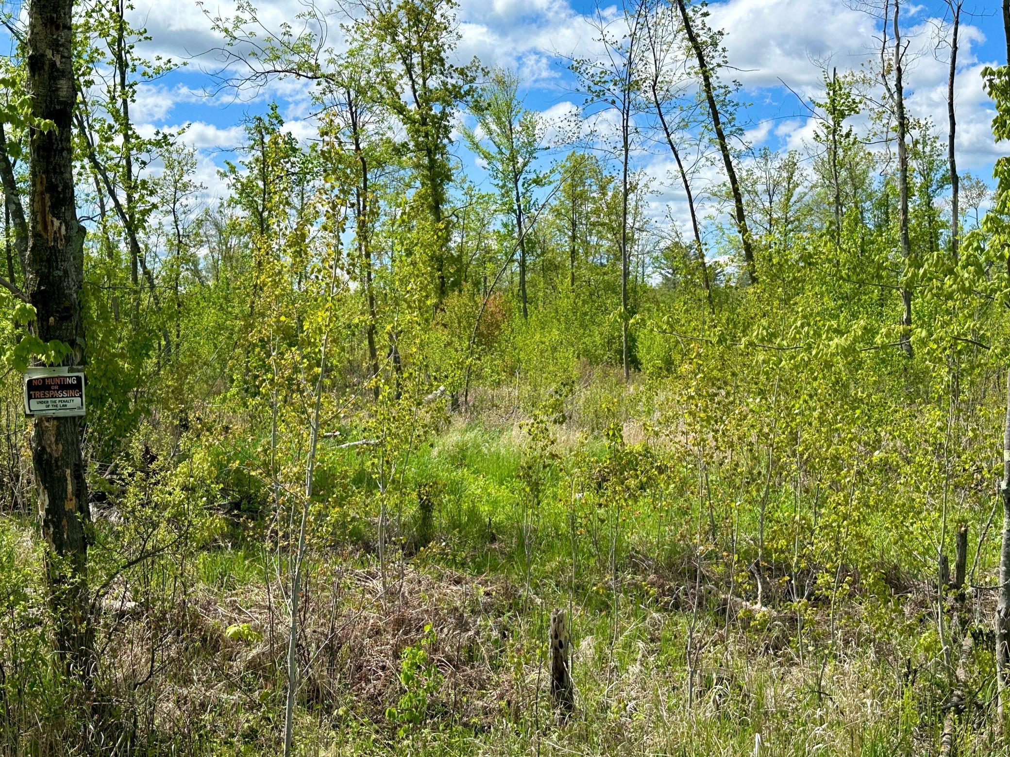 Xxx 160th Avenue, Turtle Lake, Wisconsin image 6