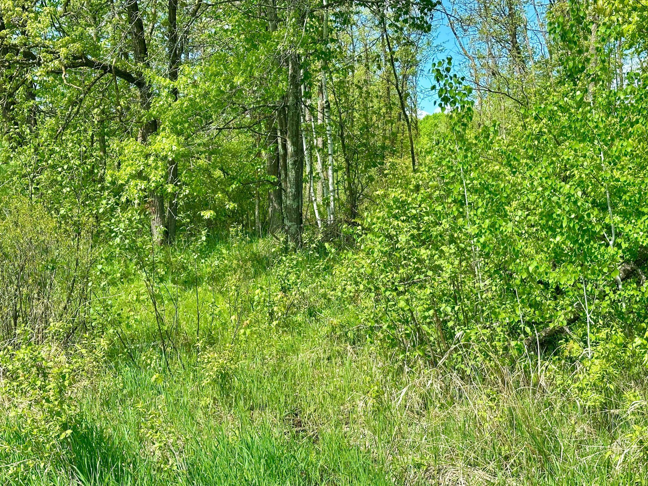 Xxx 160th Avenue, Turtle Lake, Wisconsin image 19