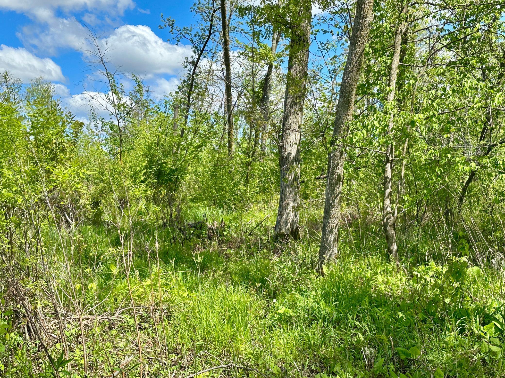 Xxx 160th Avenue, Turtle Lake, Wisconsin image 20