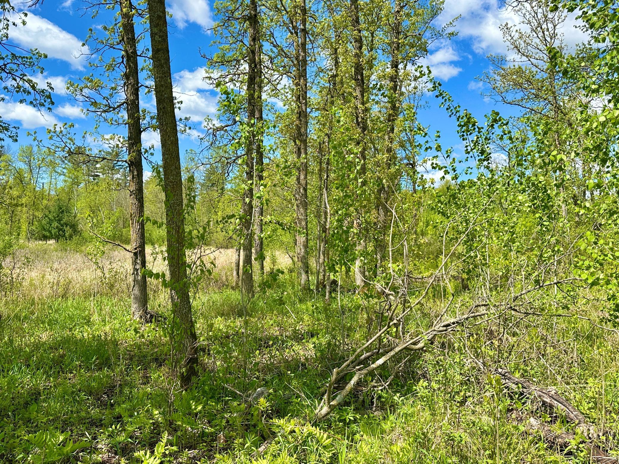 Xxx 160th Avenue, Turtle Lake, Wisconsin image 14