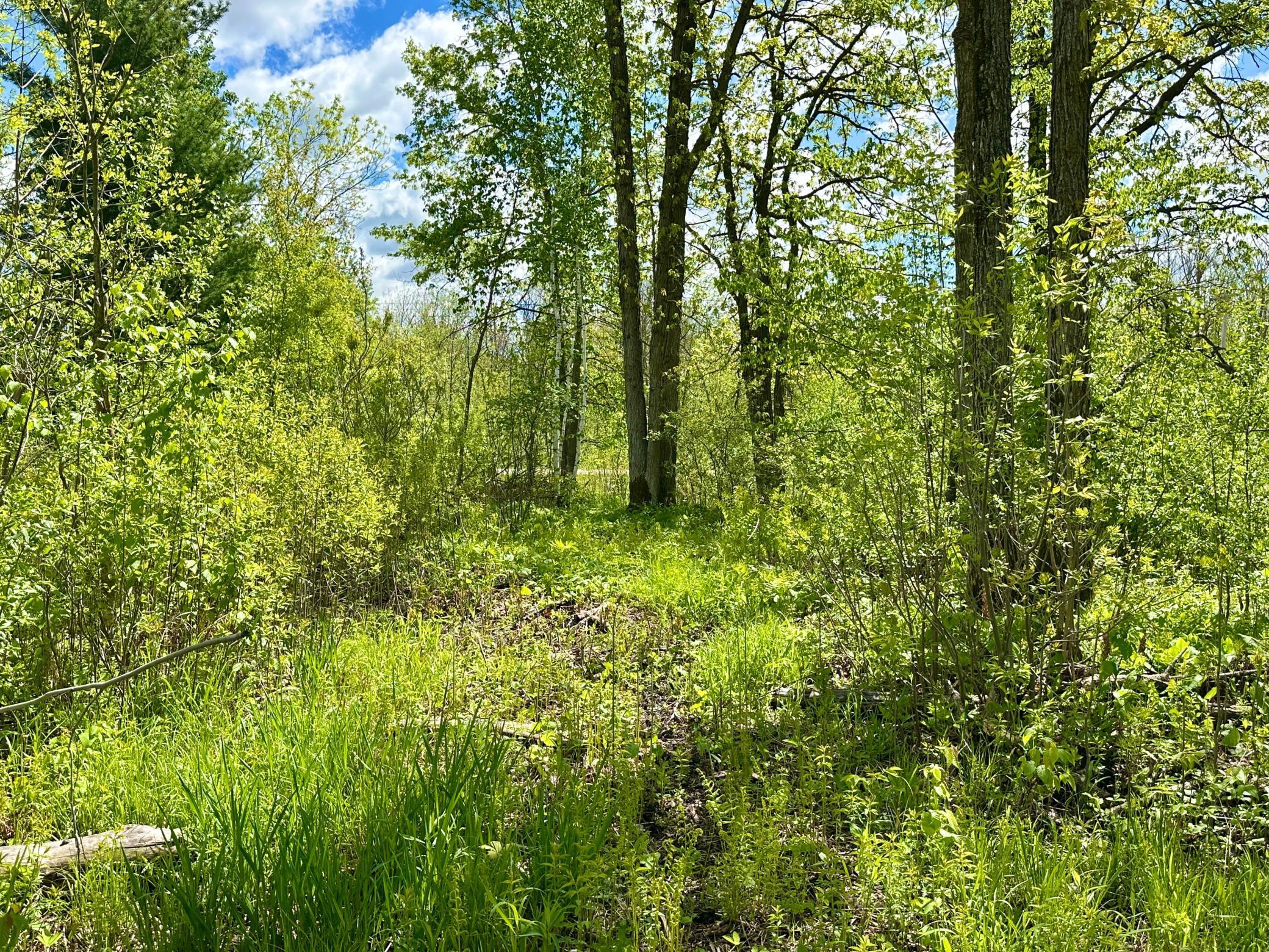 Xxx 160th Avenue, Turtle Lake, Wisconsin image 4