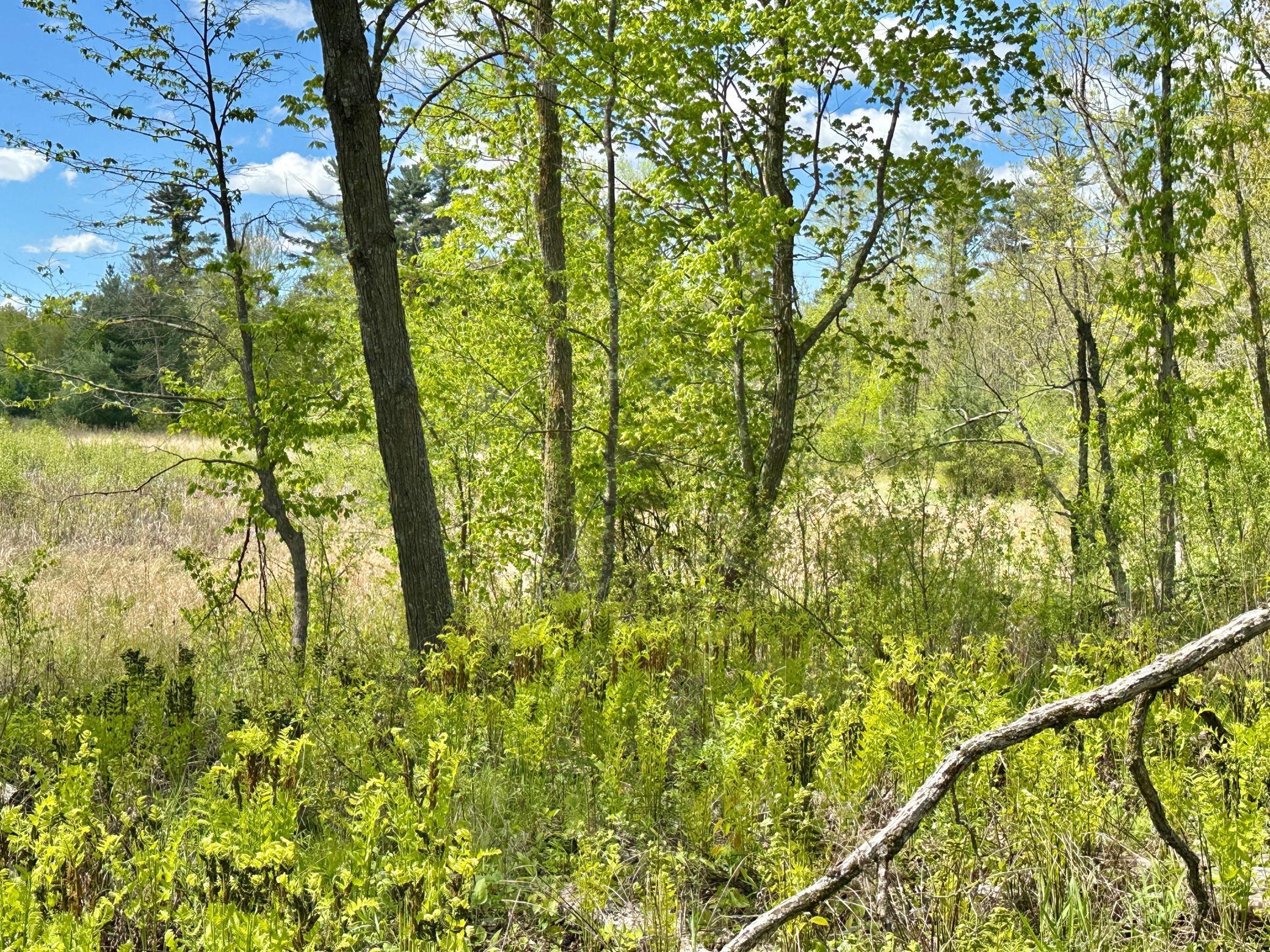 Xxx 160th Avenue, Turtle Lake, Wisconsin image 9