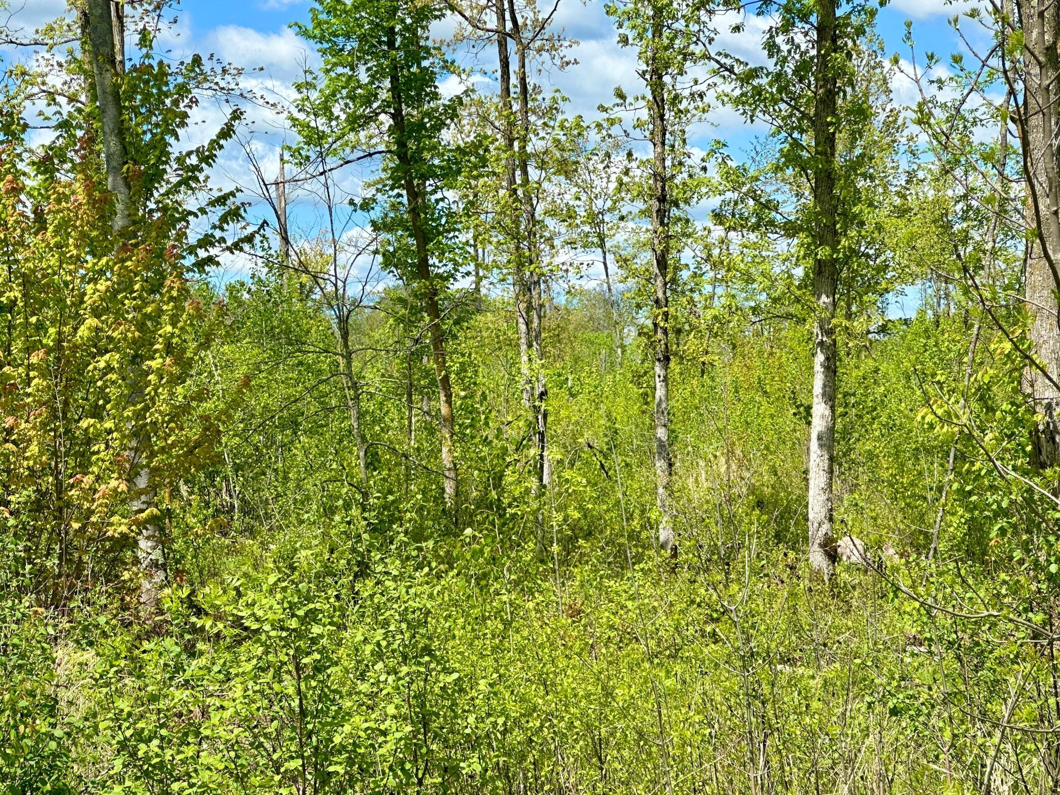 Xxx 160th Avenue, Turtle Lake, Wisconsin image 8