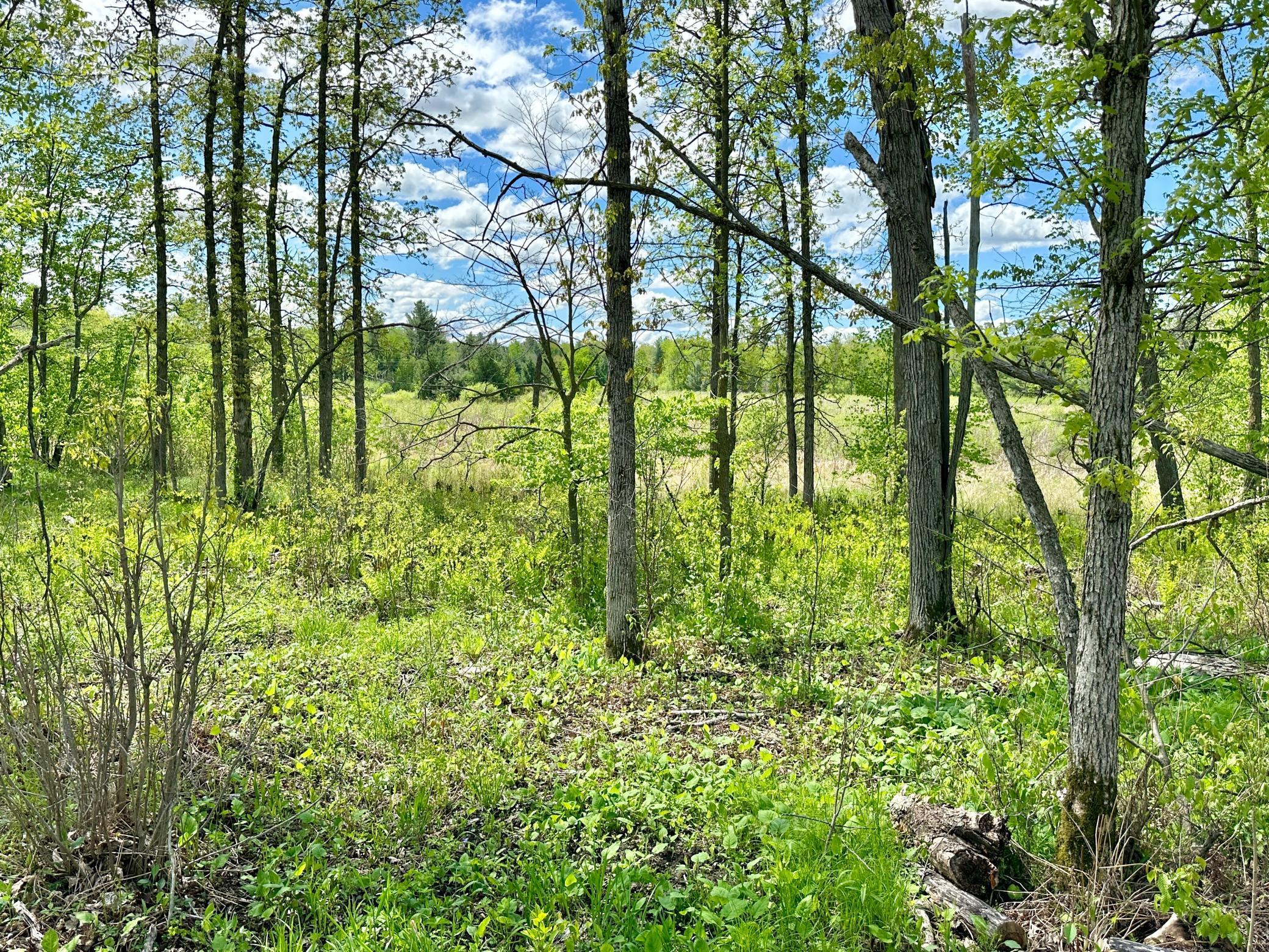 Xxx 160th Avenue, Turtle Lake, Wisconsin image 12