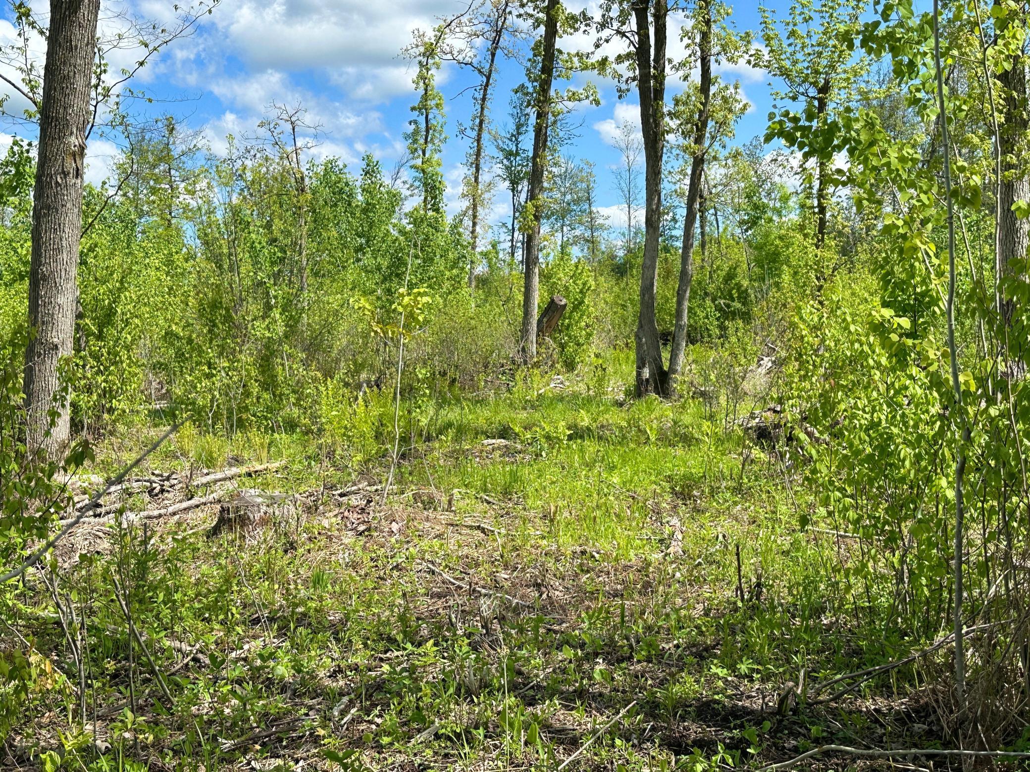 Xxx 160th Avenue, Turtle Lake, Wisconsin image 11