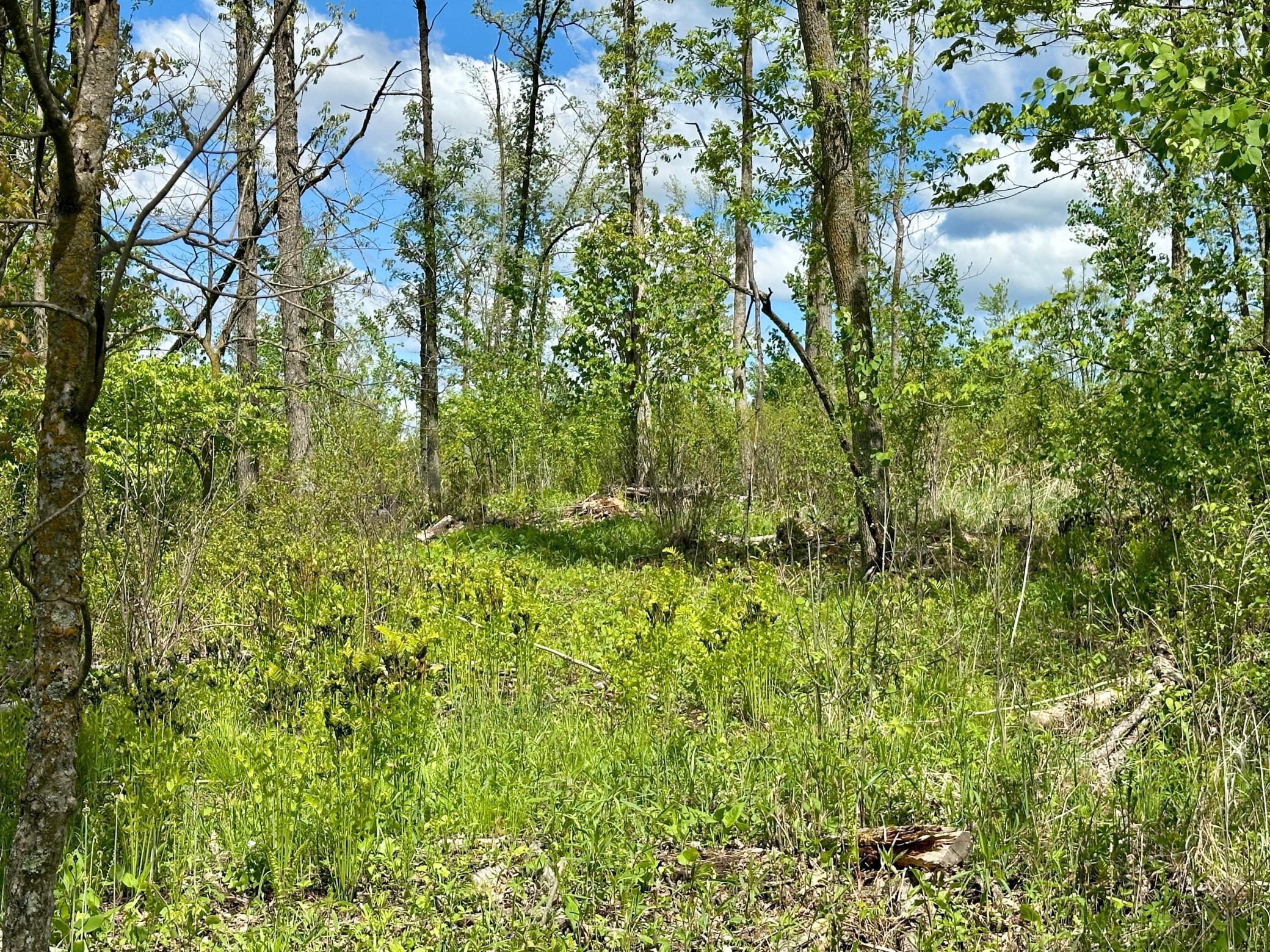 Xxx 160th Avenue, Turtle Lake, Wisconsin image 13