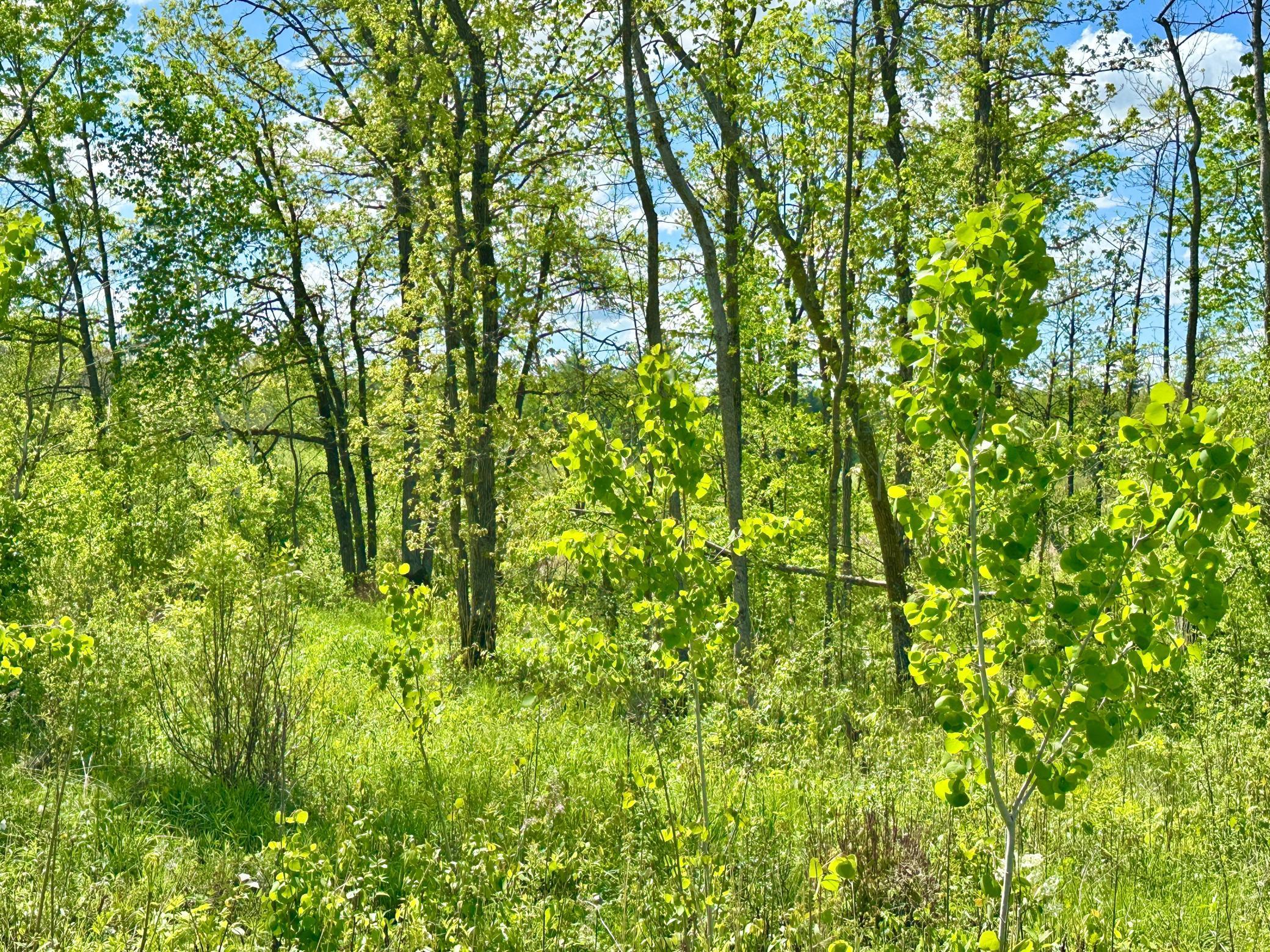 Xxx 160th Avenue, Turtle Lake, Wisconsin image 22