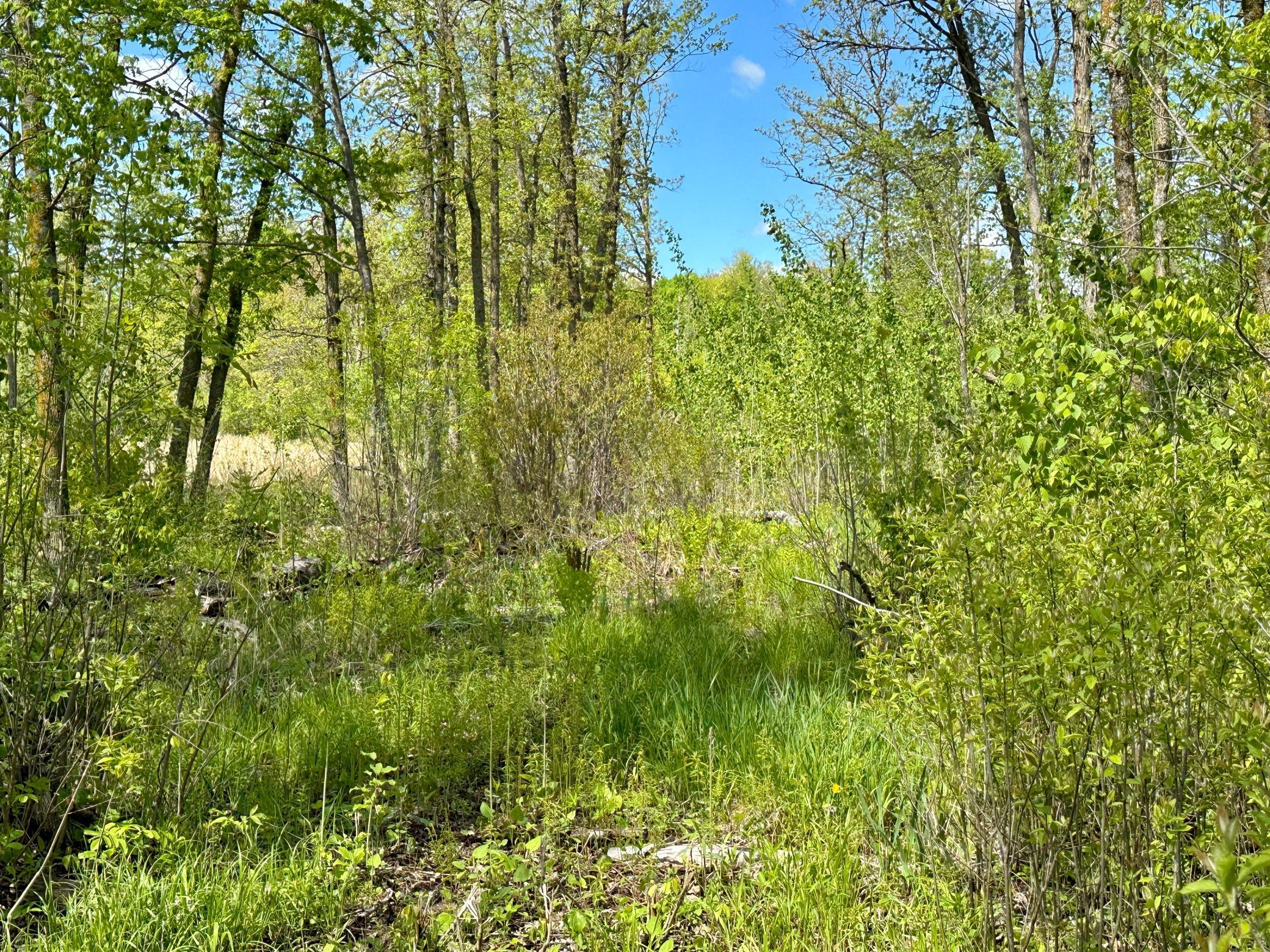 Xxx 160th Avenue, Turtle Lake, Wisconsin image 21