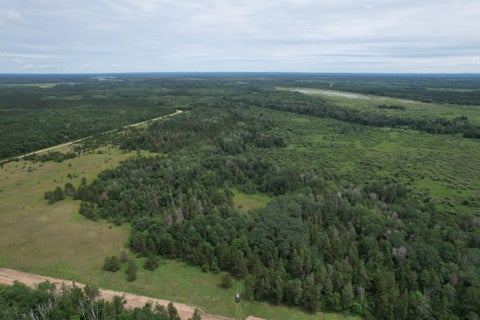 Vacant Land For Sale - TBD 350th Street<br/> Wadena County, Menahga, MN 56464