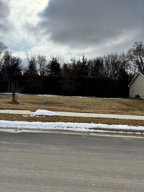 Vacant Land For Sale - 2409 Lake Avenue<br/> Brown County, New Ulm, MN 56073