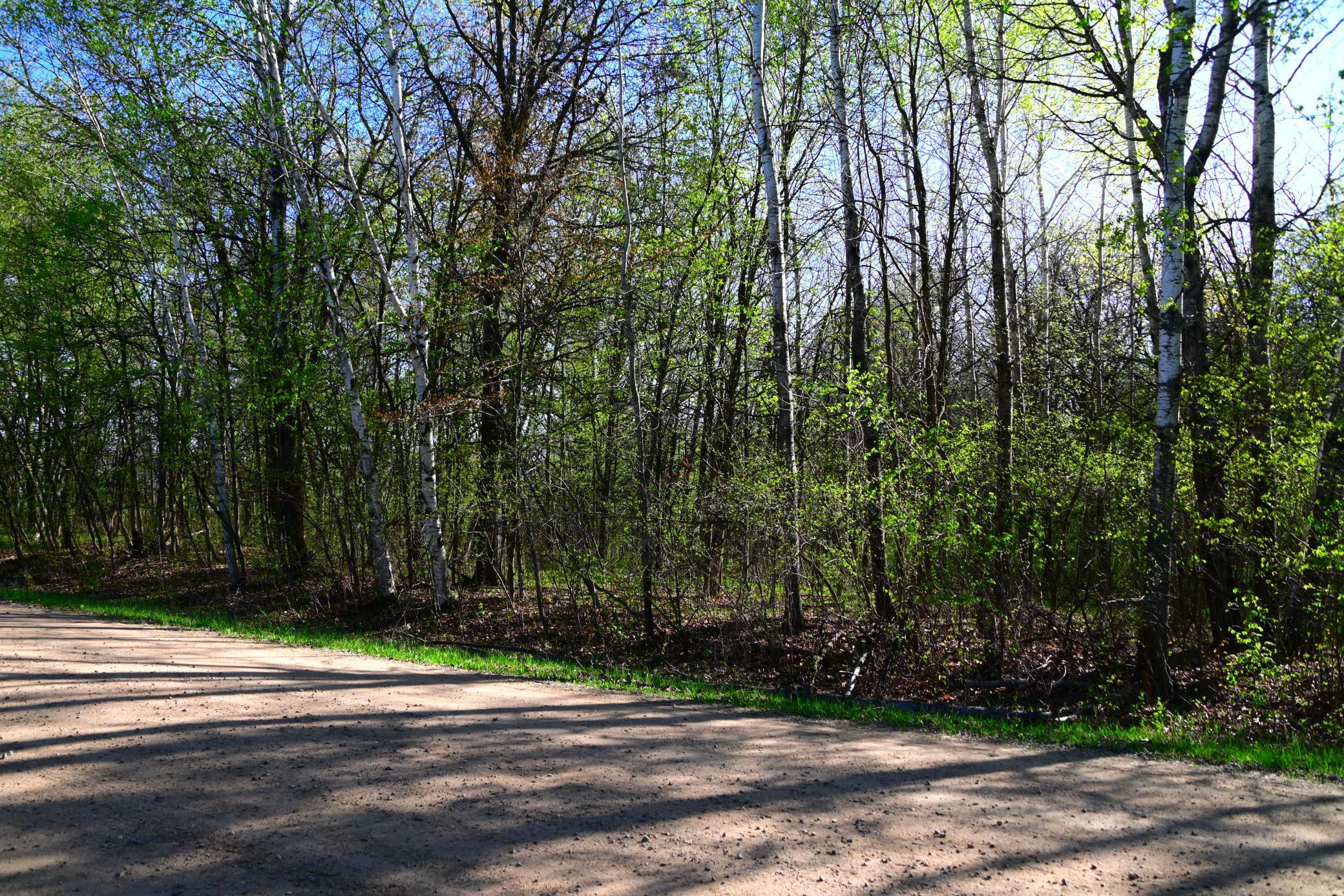 X Orchard Drive, Browerville, Minnesota image 3
