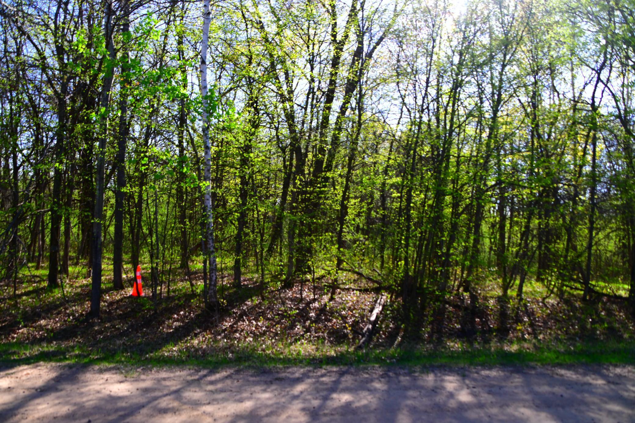 X Orchard Drive, Browerville, Minnesota image 1