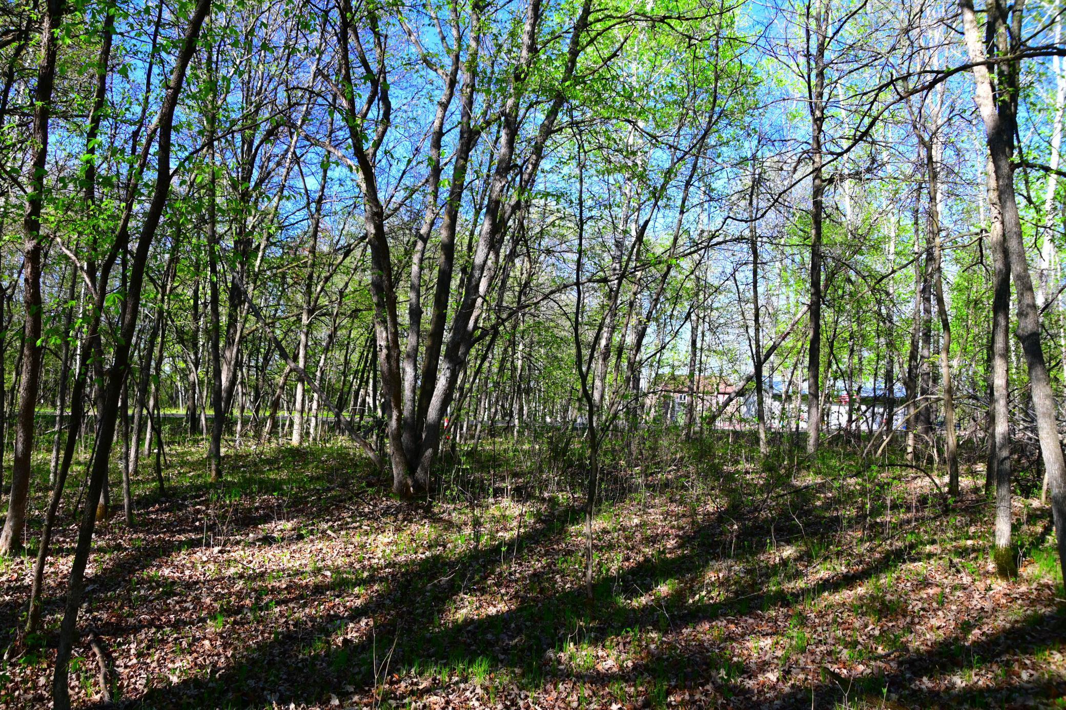 X Orchard Drive, Browerville, Minnesota image 5